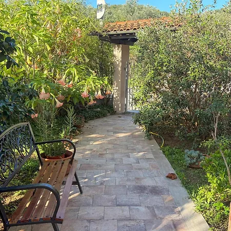 Pet Friendly In With Swimming Pool Larciano